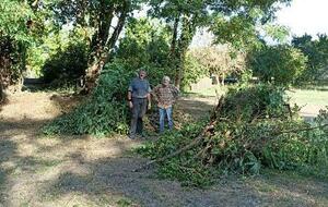 Ils se sont mis au vert !