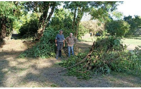 Ils se sont mis au vert !