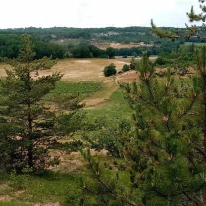 Campagne Le Montat 31 05 2026